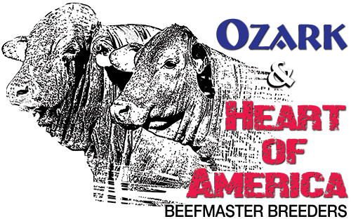 OHOA Beefmaster Logo